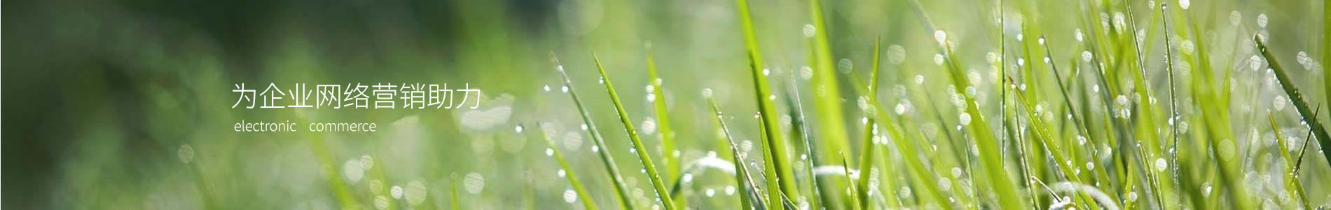 ²ʼ켼޹˾